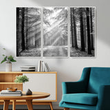 39665-MGV-CV-36X24-Black and White Forest Path Wall Art – Sunlight Rays in Trees Canvas Print, Nature Landscape Decor for Living Room or Office