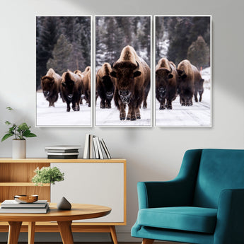 66871-MGV-CV-36X24-Bison Herd Wall Art – Wildlife Buffalo Canvas Print, Rustic Western Nature Photography Decor for Living Room, Office, Cabin, or