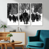 62434-MGV-CV-36X24-Bison Herd Wall Art – Majestic Black and White Buffalo Canvas Print, Wildlife Nature Photography Decor for Living Room, Office or