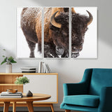 65605-MGV-CV-36X24-Snow Bison Wall Art – Close Up Buffalo Canvas Print, Rustic Western Wildlife Photography, Farmhouse Cabin Lodge Decor for Living