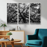 132944706-MGV-CV-36X24-Ancient Tree Wall Art – Black and White Photography Canvas Print Featuring Majestic Twisting Branches, Rustic Nature Artwork for