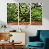 51255351-MGV-CV-36X24-Ancient Tree Wall Art – Majestic Oak Canvas Print, Large Nature Photography, Sacred Forest Landscape Wall Décor, Wisdom Tree