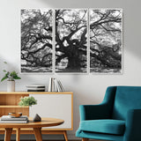 81655611-MGV-CV-36X24-Ancient Oak Wall Art Canvas Print, Framed Twisted Branches Art Picture Print, Gnarled Tree Perfect Moody Nature Decor Artwork