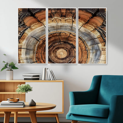 15184146-MGV-CV-36X24-Tree Rings Wall Art Canvas Print, Framed Wood Texture Art Picture Print, Rustic Pattern Perfect Rustic Organic Decor Artwork