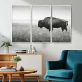 28435251-MGV-FC-48X32-3P_White-Bison In Prairie Wall Art Canvas Print, Framed Rustic Wildlife Art Picture Print, Wild Buffalo Perfect Rustic Western Decor