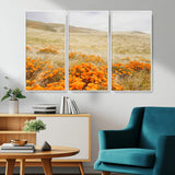 28972262-MGV-CV-36X24-Golden Wildflowers Wall Art Canvas Print, Framed Hills Bloom Art Picture Print, Poppy Meadow Perfect Rustic Nature Decor Artwork