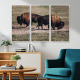 58141885-MGV-CV-36X24-Bison Photography Wall Art Canvas Print, Framed Western Wildlife Art Picture Print, Modern Ranch Perfect Western Rustic Decor
