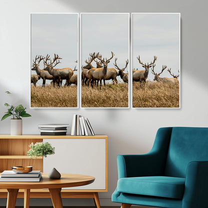 42170220-MGV-CV-36X24-Elk Herd Wall Art Canvas Print, Framed Wildlife Photography Art Picture Print, Majestic Antlers Perfect Rustic Wildlife Decor