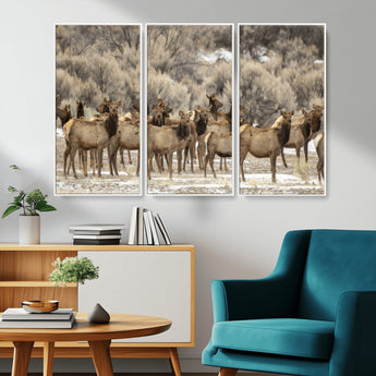 93076148-MGV-FC-48X32-3P_White-Elk Herd Wall Art – Wildlife Canvas Print of Elk in Winter Landscape, Rustic Western Cabin & Lodge Décor, Nature Photography for