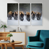 30332489-MGV-FC-48X32-3P_White-Winter Bison Herd Wall Art – Powerful Buffalo Canvas Print, Rustic Wildlife Photography Decor for Farmhouse, Cabin, Lodge, Living