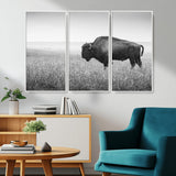 90861202-MGV-CV-36X24-Black and White Bison Canvas Wall Art – Rustic American Buffalo Print, Western Wildlife Photography for Farmhouse, Cabin, Office