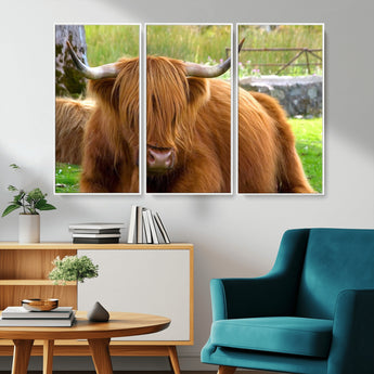 68411138-MGV-CV-36X24-Farmhouse Wall Art – Highland Cow Canvas Print, Rustic Country Cattle Photography Decor for Bedroom, Living Room, Office, Ranch,