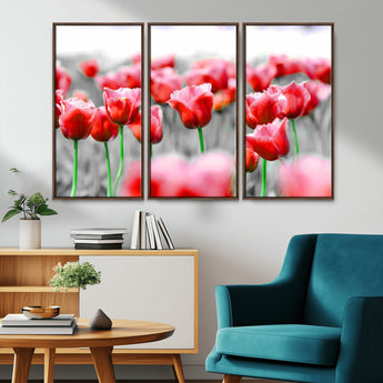 44554-MGV-CV-36X24-Vibrant red tulips stand out beautifully against a black-and-white background, making a striking decor piece perfect for any home