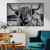 97372-MGV-FC-48X32-3P_Walnut-Elegant Highland Cow Wall Art – Black and White Canvas Print, Rustic Nature Decor for Home, Office, Living Room or Man Cave