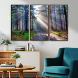 42047-MGV-CV-36X24-Sunlit Forest Path Wall Art – Nature Canvas Print, Serene Woodland Landscape, Perfect Home & Office Decor for Calm and Tranquil