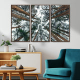 18790-MGV-CV-36X24-Pine Canopy Wall Art – Panoramic View of Towering Pines Canvas Print, Nature-Inspired Decor for Office, Cabin or Living Room