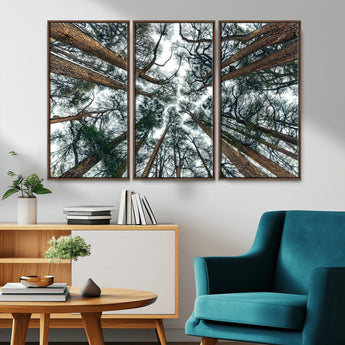 18790-MGV-CV-36X24-Pine Canopy Wall Art – Panoramic View of Towering Pines Canvas Print, Nature-Inspired Decor for Office, Cabin or Living Room