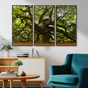 29407-MGV-FC-48X32-3P_Walnut-Ancient Oak Tree Wall Art – Majestic Nature Canvas Print, Large Tree Photography Decor for Living Room or Office