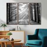 39665-MGV-CV-36X24-Black and White Forest Path Wall Art – Sunlight Rays in Trees Canvas Print, Nature Landscape Decor for Living Room