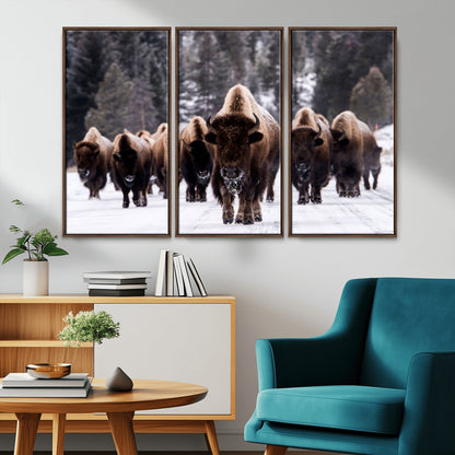 66871-MGV-CV-36X24-Bison Herd Wall Art – Wildlife Buffalo Canvas Print, Rustic Western Nature Photography Decor for Living Room, Office, Cabin, or