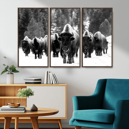 62434-MGV-CV-36X24-Bison Herd Wall Art – Majestic Black and White Buffalo Canvas Print, Wildlife Nature Photography Decor for Living Room, Office or
