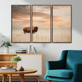 99699-MGV-CV-36X24-Bison in Prairie at Sunset – Wildlife Photography Print, American Buffalo Wall Art, Nature Landscape Canvas Decor for Office