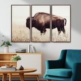 48406-MGV-CV-36X24-American Bison Wall Art – Rustic Buffalo Canvas Print in Prairie Field, Western Wildlife Photography Decor for Cabin, Lodge,