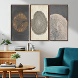 80725-MGV-FC-48X32-3P_Walnut-Wood Tree Rings Wall Art Canvas Print, Framed Tree Rings Art Picture Print, Abstract Tree Rings Perfect Modern Boho Decor Artwork