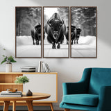 45287-MGV-CV-36X24-Bison Herd Wall Art – Black and White Buffalo Snow Road Canvas Print, Rustic Wildlife Decor for Cabin, Lodge or Living Room