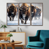 80512-MGV-CV-36X24-Bison Herd Wall Art – Buffalo Running in Snow Canvas Print, Rustic Wildlife Photography Decor for Cabin, Lodge, or Living Room