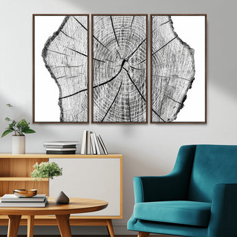 98709-MGV-CV-36X24-Tree Ring Wall Art – Black and White Canvas Print Rustic Wood Cross Section, Minimal Nature Inspired Decor for Living Room,