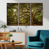 57983-MGV-CV-36X24-Angel Oak Tree Wall Art Canvas Print, Framed Oak Tree Art Picture Print, Angel Oak Perfect Rustic Nature Decor Artwork