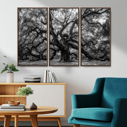 132944706-MGV-CV-36X24-Ancient Tree Wall Art – Black and White Photography Canvas Print Featuring Majestic Twisting Branches, Rustic Nature Artwork for