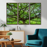 49375306-MGV-CV-36X24-Ancient Tree Wall Art Canvas Print, Framed Sprawling Branches Art Picture Print, Gnarling Tree Perfect Earthy Natural Decor
