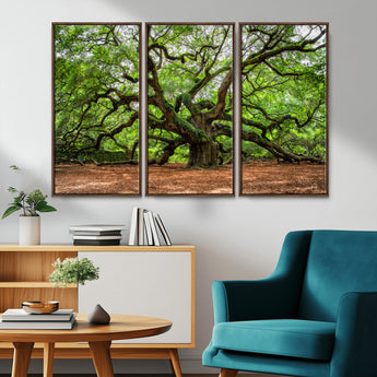 51255351-MGV-CV-36X24-Ancient Tree Wall Art – Majestic Oak Canvas Print, Large Nature Photography, Sacred Forest Landscape Wall Décor, Wisdom Tree
