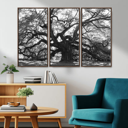 81655611-MGV-CV-36X24-Ancient Oak Wall Art Canvas Print, Framed Twisted Branches Art Picture Print, Gnarled Tree Perfect Moody Nature Decor Artwork