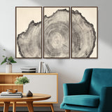 98921313-MGV-CV-36X24-Tree Ring Wall Art Canvas Print, Framed Wood Slice Art Picture Print, Minimalist Wood Perfect Rustic Academic Decor Artwork