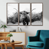 97280319-MGV-CV-36X24-Longhorn Photography Wall Art Canvas Print, Framed Western Cow Decor Art Picture Print, Texas Ranch Style Perfect Rustic Farmhouse