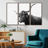 99244177-MGV-CV-36X24-Longhorn Photography Wall Art Canvas Print, Framed Western Cow Decor Art Picture Print, Black White Bull Perfect Modern Rustic