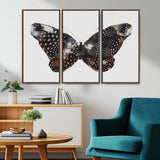 99831147-MGV-FC-48X32-3P_Walnut-Spotted Butterfly Wall Art Canvas Print, Framed Neutral Insect Theme Art Picture Print, Earthy Wing Pattern Perfect Modern Rustic