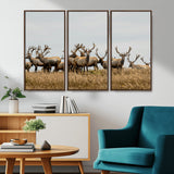 42170220-MGV-CV-36X24-Elk Herd Wall Art Canvas Print, Framed Wildlife Photography Art Picture Print, Majestic Antlers Perfect Rustic Wildlife Decor