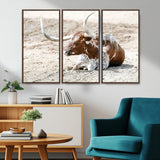 89096667-MGV-CV-36X24-Texas Longhorn Wall Art – Rustic Western Canvas Print, Cattle Photography Decor for Ranch House, Living Room, Office, Man Cave