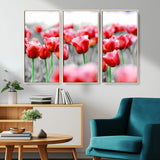 44554-MGV-CV-36X24-Vibrant red tulips stand out beautifully against a black-and-white background, making a striking decor piece perfect for any home