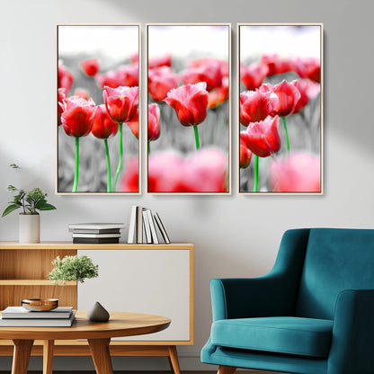 44554-MGV-CV-36X24-Vibrant red tulips stand out beautifully against a black-and-white background, making a striking decor piece perfect for any home