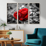 84671-MGV-CV-36X24-Red Rose Wall Art – Vibrant Single Bloom Canvas Print with Black and White Background, Elegant Floral Decor for Living Room,