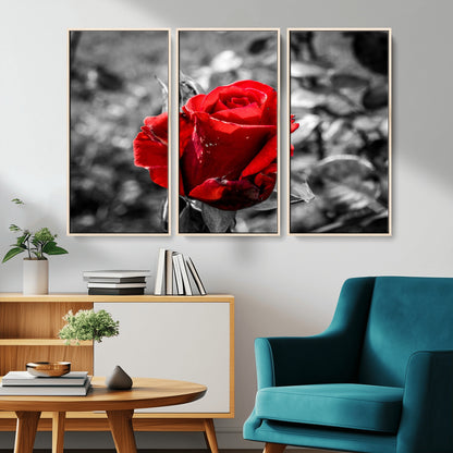 84671-MGV-CV-36X24-Red Rose Wall Art – Vibrant Single Bloom Canvas Print with Black and White Background, Elegant Floral Decor for Living Room,