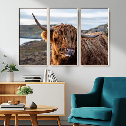71222-MGV-CV-36X24-A playful Highland cow with shaggy fur sticks out its tongue, set against a rugged landscape — perfect for quirky home or office