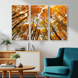 11823-MGV-CV-36X24-Golden Autumn Tree Canopy Wall Art – Stunning Fall Forest Leaves Print, Warm Seasonal Nature Decor for Home, Office or Cabin