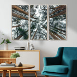 18790-MGV-CV-36X24-Pine Canopy Wall Art – Panoramic View of Towering Pines Canvas Print, Nature-Inspired Decor for Office, Cabin or Living Room
