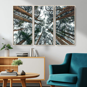 18790-MGV-CV-36X24-Pine Canopy Wall Art – Panoramic View of Towering Pines Canvas Print, Nature-Inspired Decor for Office, Cabin or Living Room